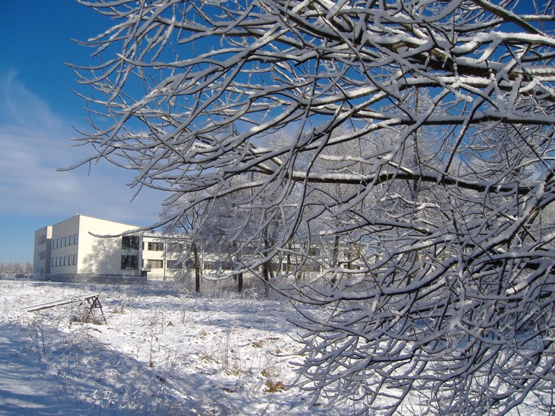 Image:Lapių mokykla_724.jpg