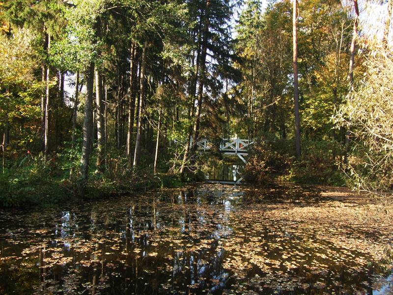 Tvenkinys