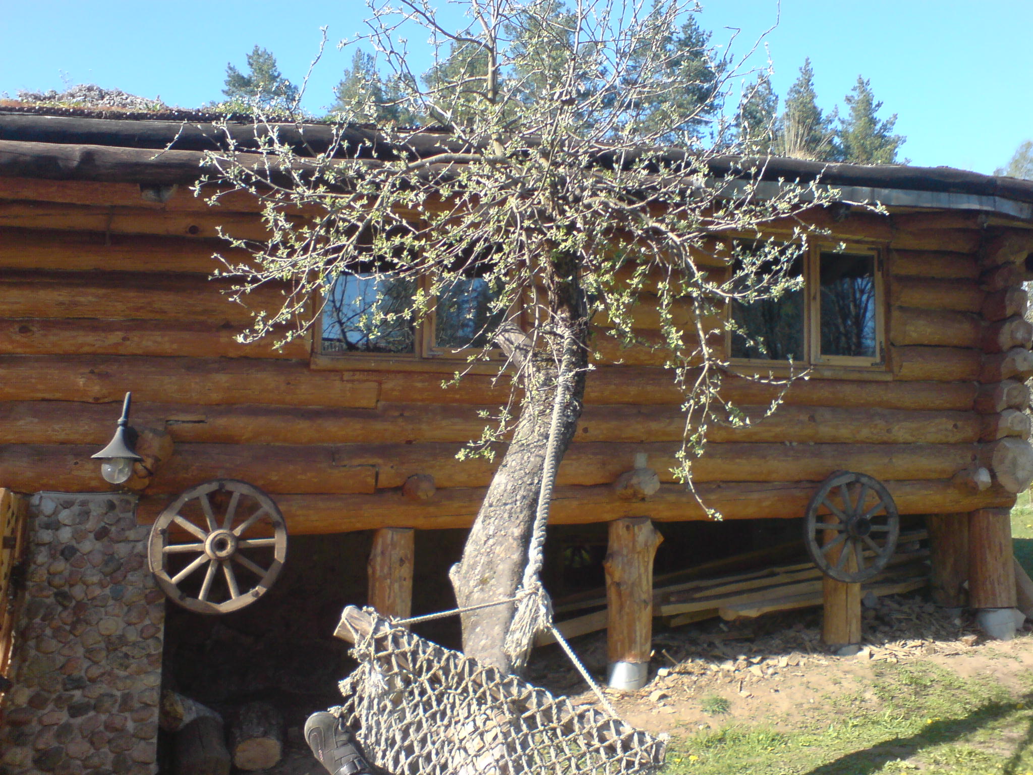 Image:Sodybos kaimynystėje_574.jpg
