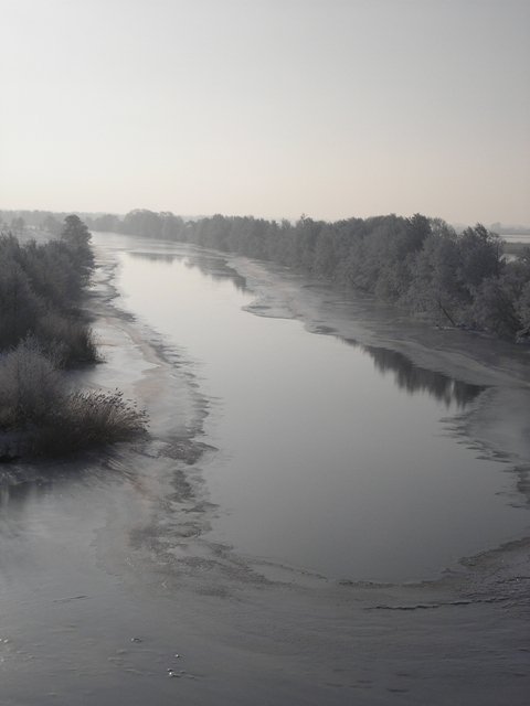 Minijos upė šaltą ūkanotą pavasarį.
