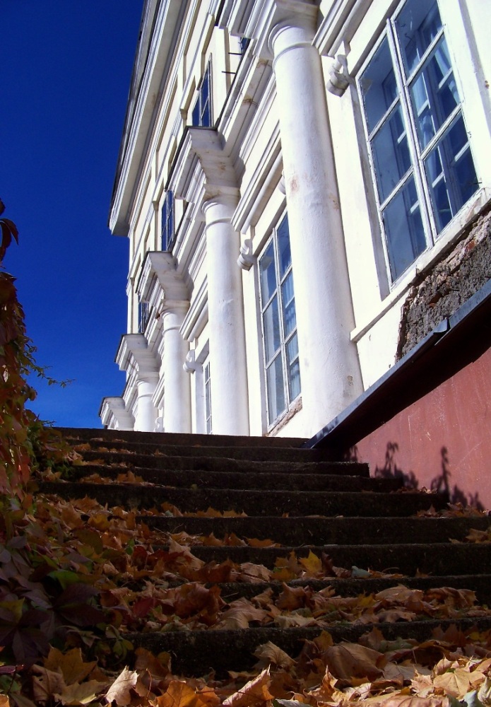 Rokiškio raj. Salos,Salų dvaro rūmai