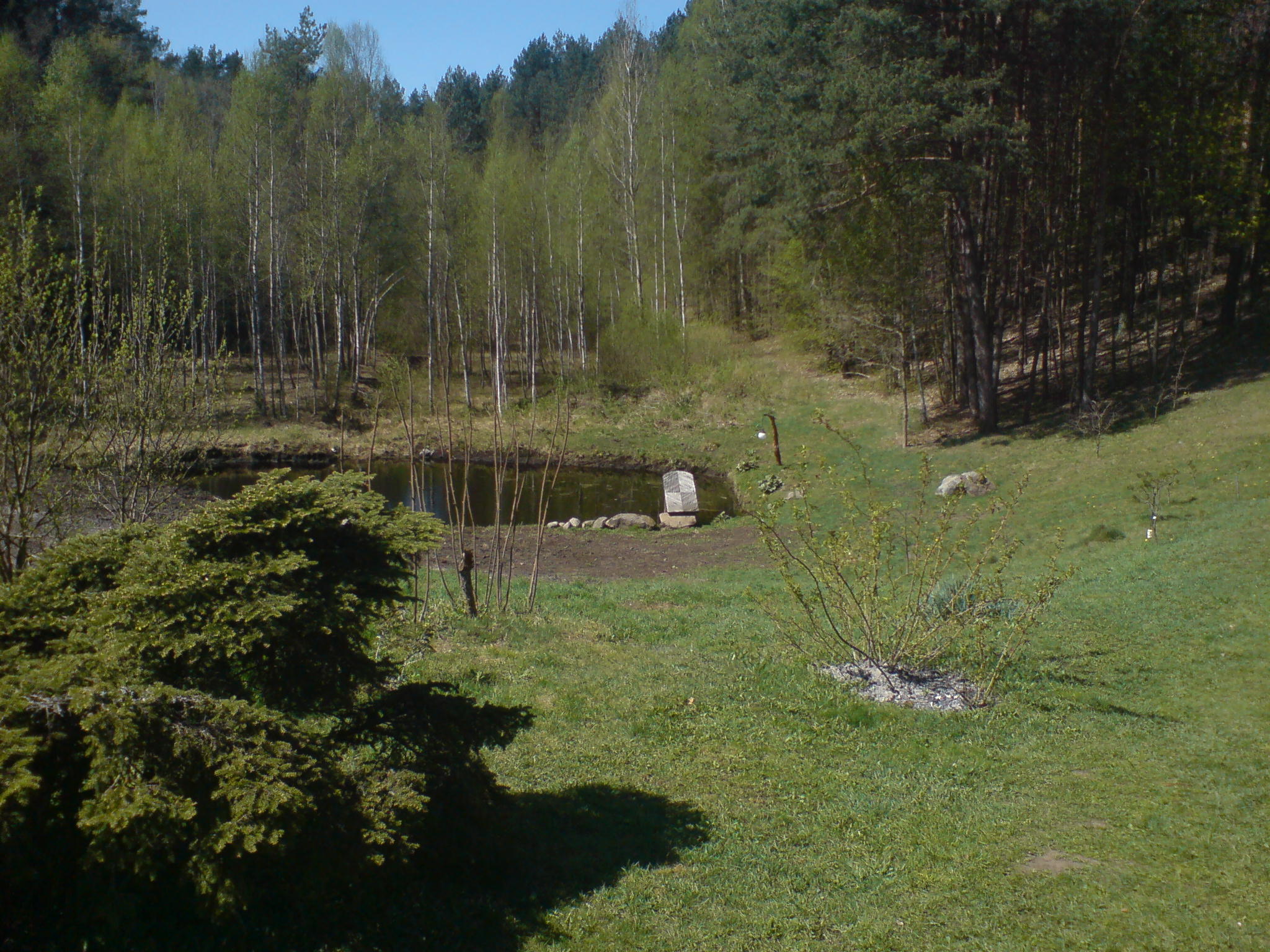 Image:Prūdas miške_310.jpg