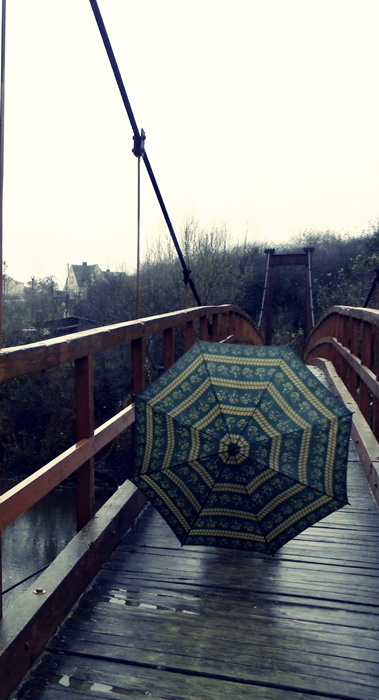 Image:Bezdžionių tiltas_932.jpg