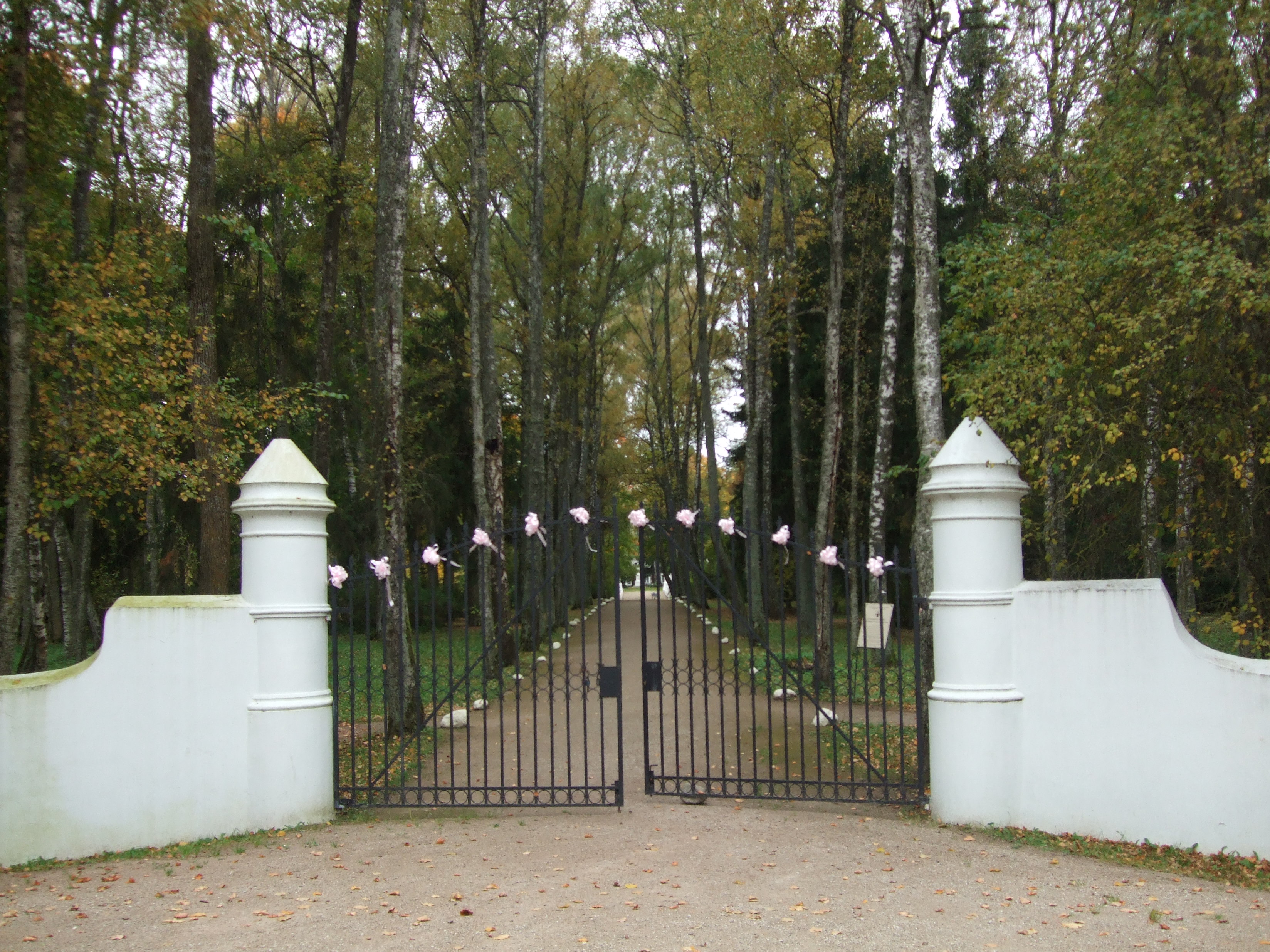 Image:hDILH.jpg