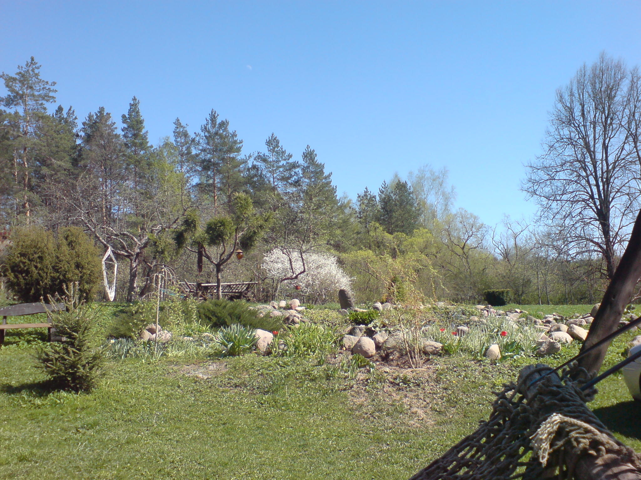 Image:Kai sodą papuošia pavasaris_992.jpg