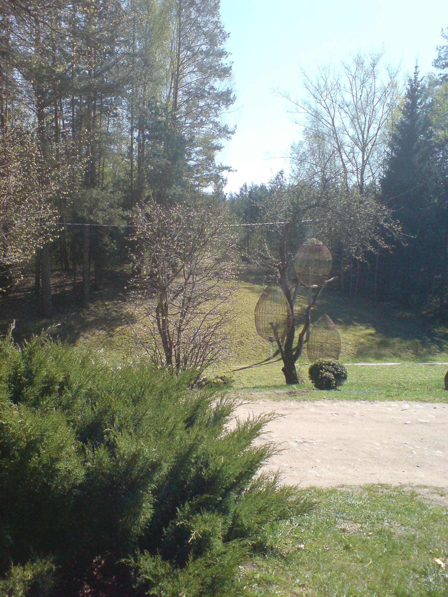 Image:Kai gamtą papuošia pavasaris_850.jpg