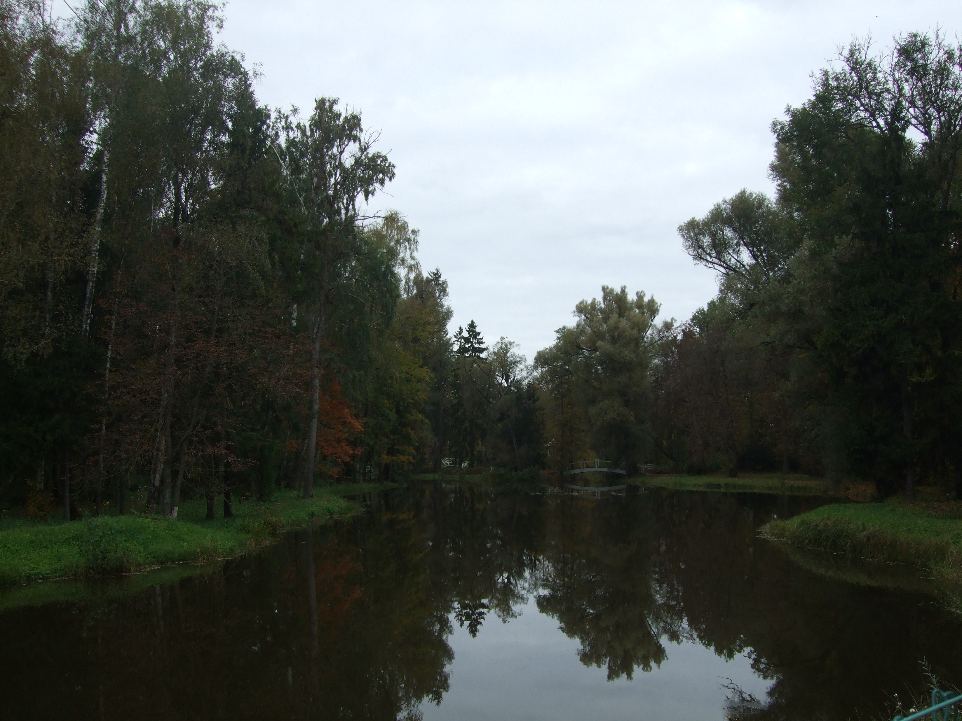 Image:S.jpg