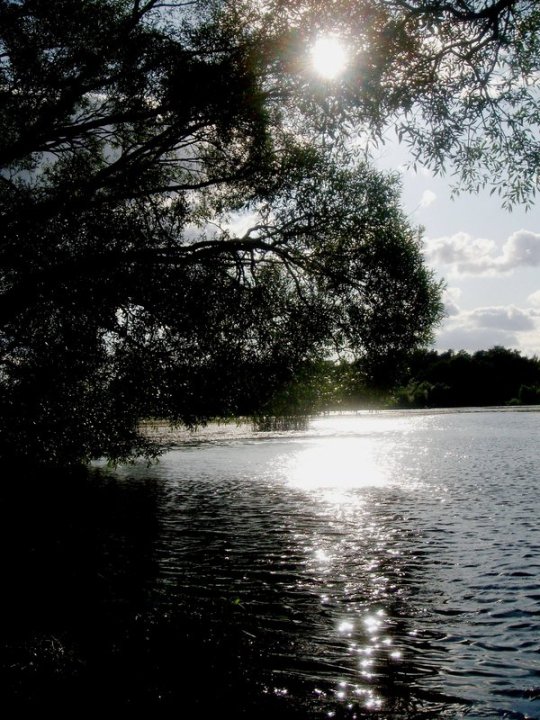 Kruojos upė