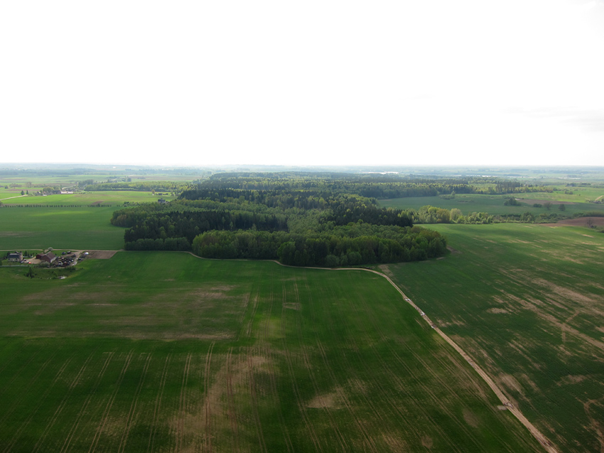 Prienų apylinkės