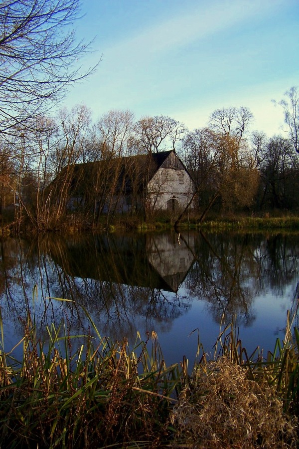 Rokiškio raj, Panemunis.