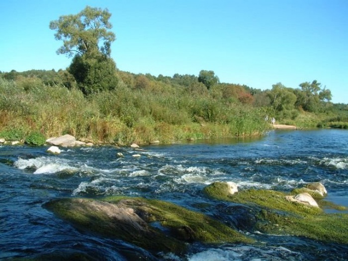 Image:Dubysa_287.jpg