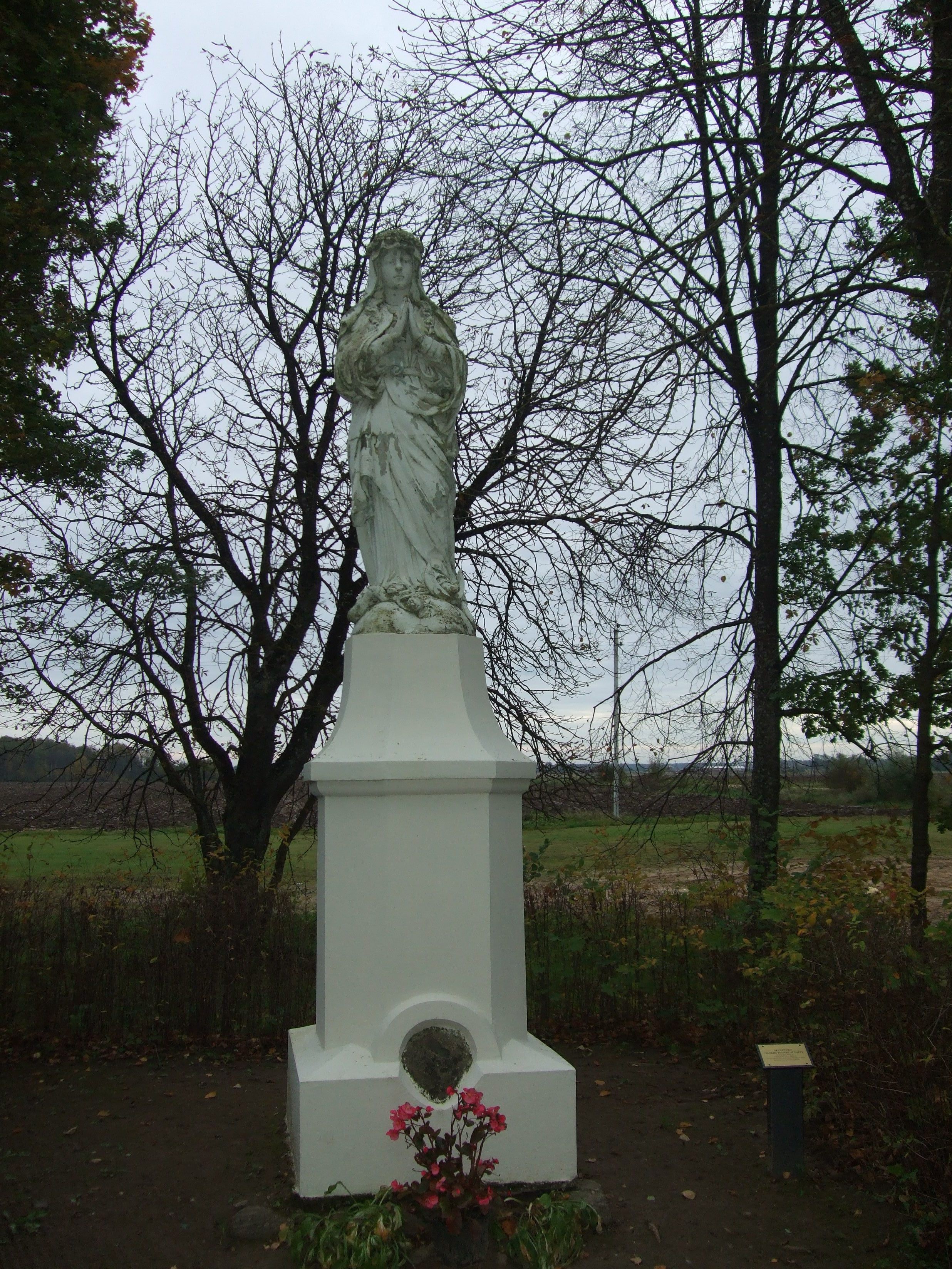 Image:j;lkhkjg.jpg