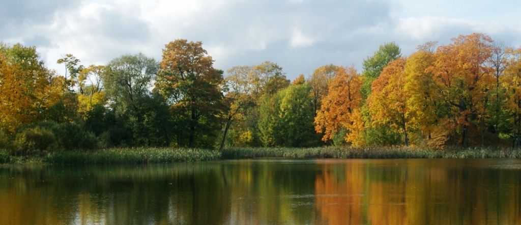 Image:Ruduo Rietavo parke_352.jpg