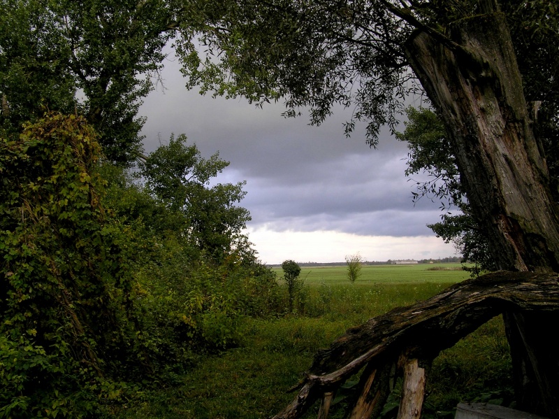 Vaizdas:Langas į tolumą 680.jpg