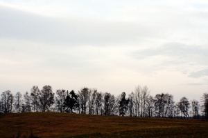 K. Lapinaitės nuotr.