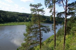 Nemuno kilpa