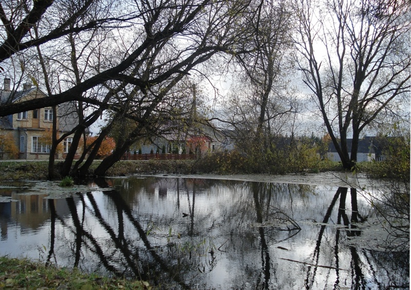 Vaizdas:Medžiai vandenyje 441.jpg