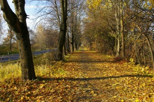 Ruduo. Į Paežerius.