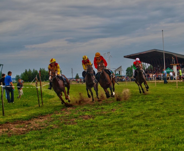 Vaizdas:Žirgų lenktynės, Raseinių hipodrome 902.jpg