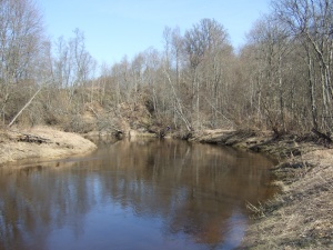 Minijos vingiai (Plungės r.)