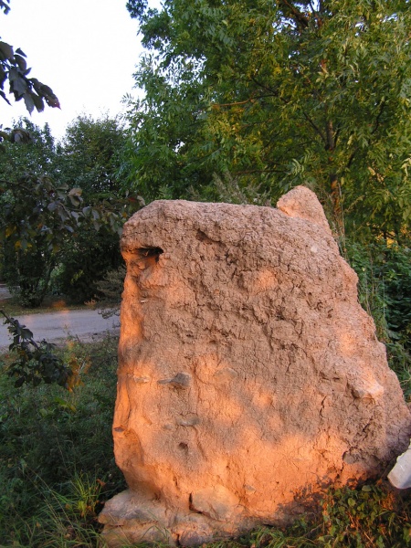 Vaizdas:Parvalkai. Saulės ir molio žaismas 552.jpg