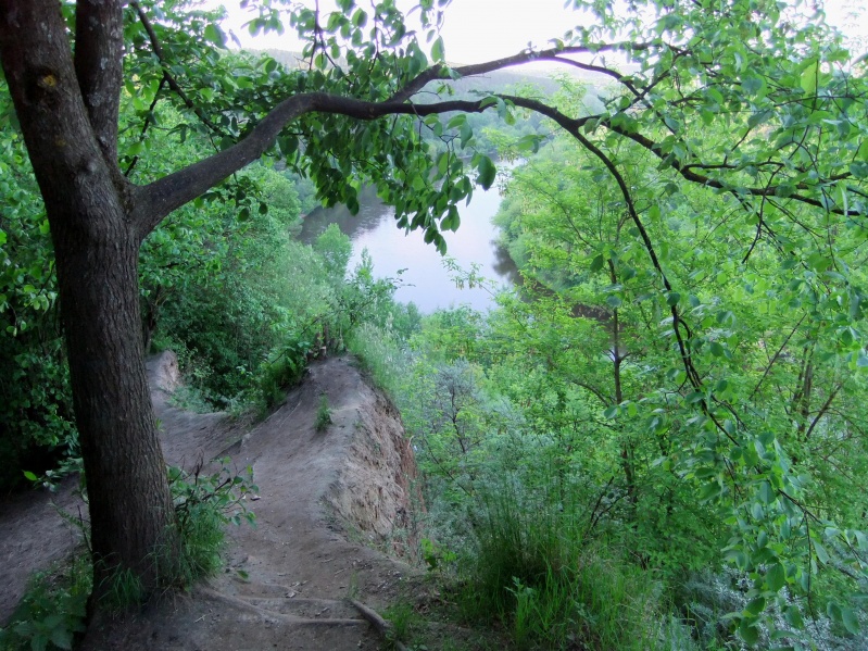 Vaizdas:Plikakalnio atodanga (Karoliniškių parkas, Vilnius) 481.jpg