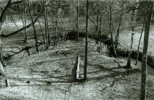 Paberžėje (Kėdainių rajonas)