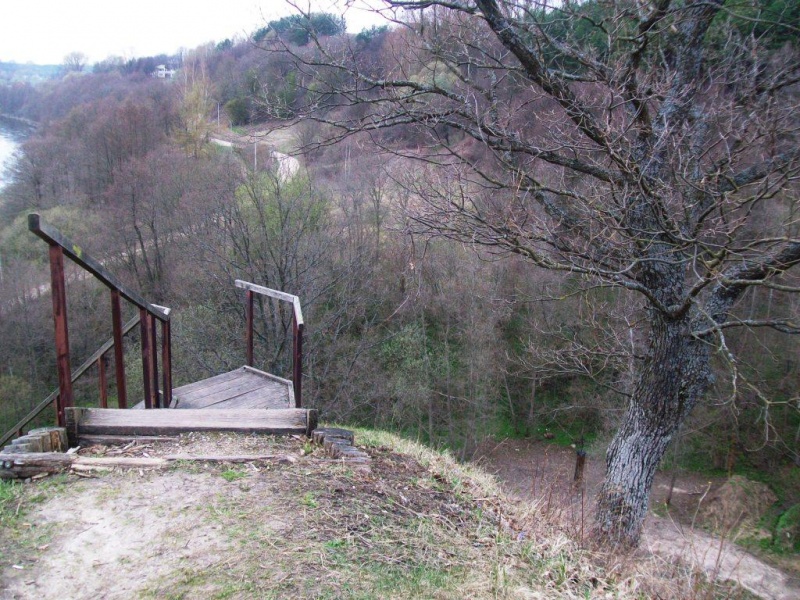 Vaizdas:Medžiai visada taip atrodo prieš mirtį 926.jpg