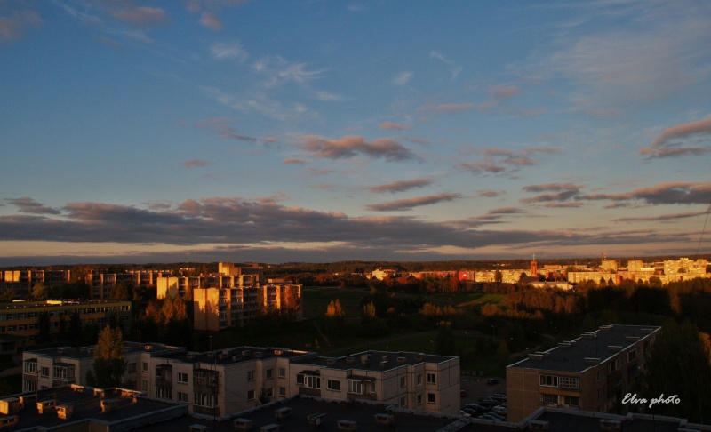 Vaizdas:Paskutinė rudens šiluma 293.jpg