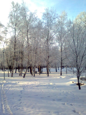 Vandžiogala