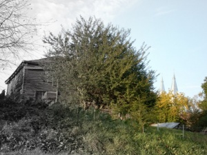 Sinagoga ir Šv. Apaštalo Jokūbo bažnyčios bokštai