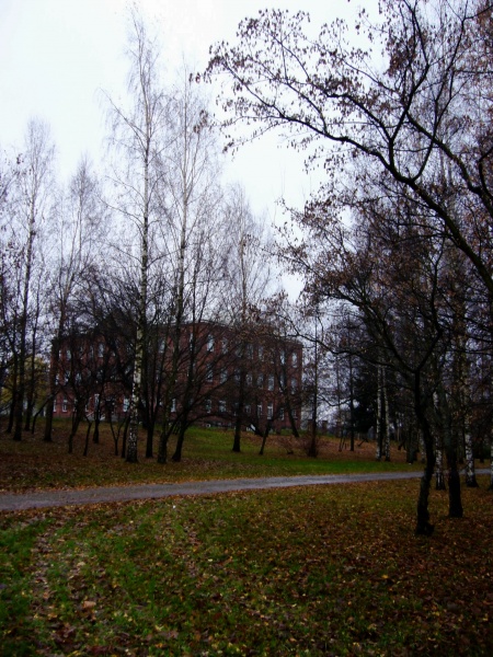 Vaizdas:Marijonų gimnazija pro medžius 398.jpg