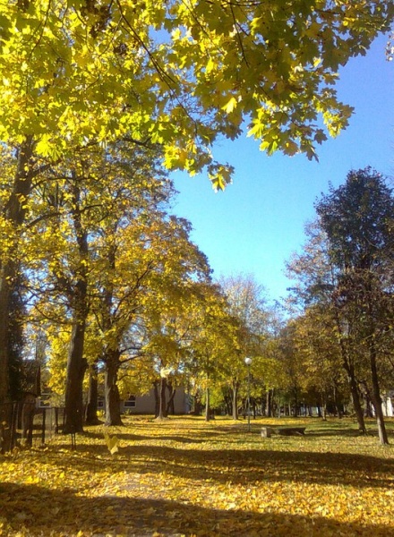 Vaizdas:Vandžiogalos parkas 543.jpg