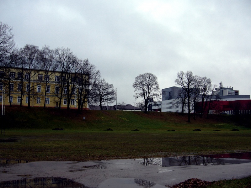 Vaizdas:Rygiškių Jono gimnazija ir kultūros centras 550.jpg