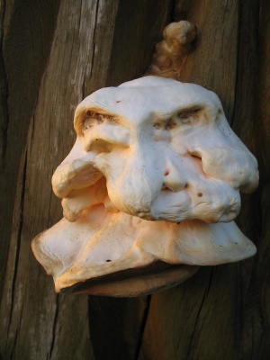 Miškinukas