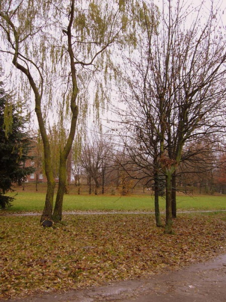 Vaizdas:Parkelis. 884.jpg