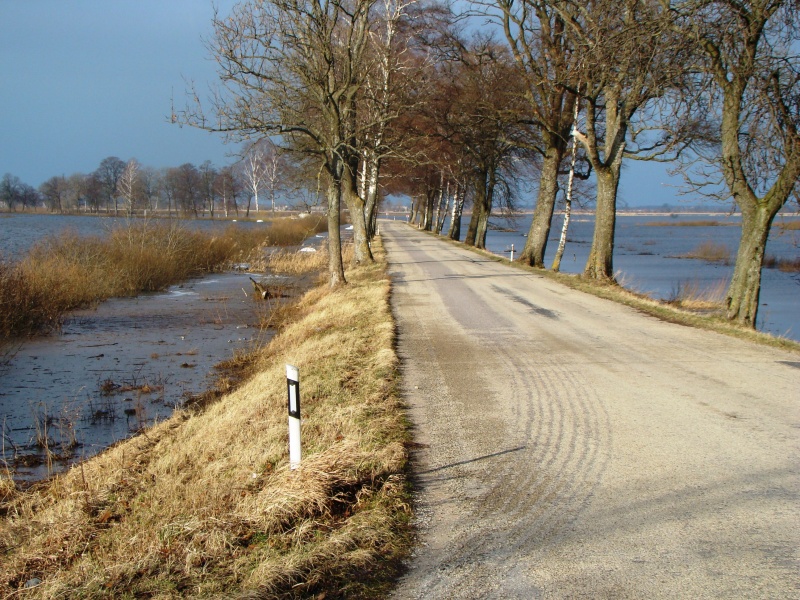 Vaizdas:Potvynis 30.jpg