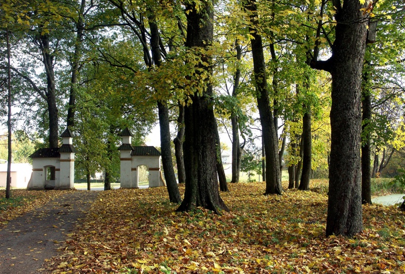 Vaizdas:04 - Kelmės r.Šaukėnai.Ruduo parke. 625.jpg