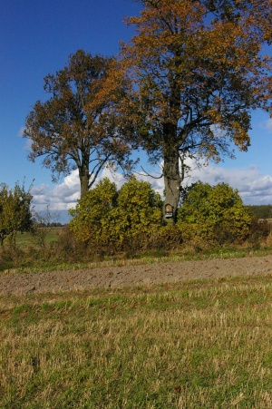 Pro Žvirgždaičius į Šunskus