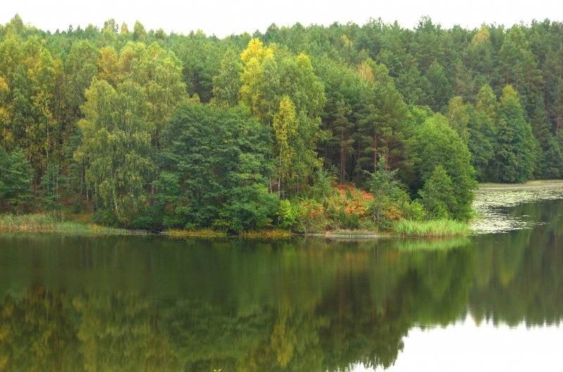Vaizdas:Nepakartojamas ruduo... 716.jpg