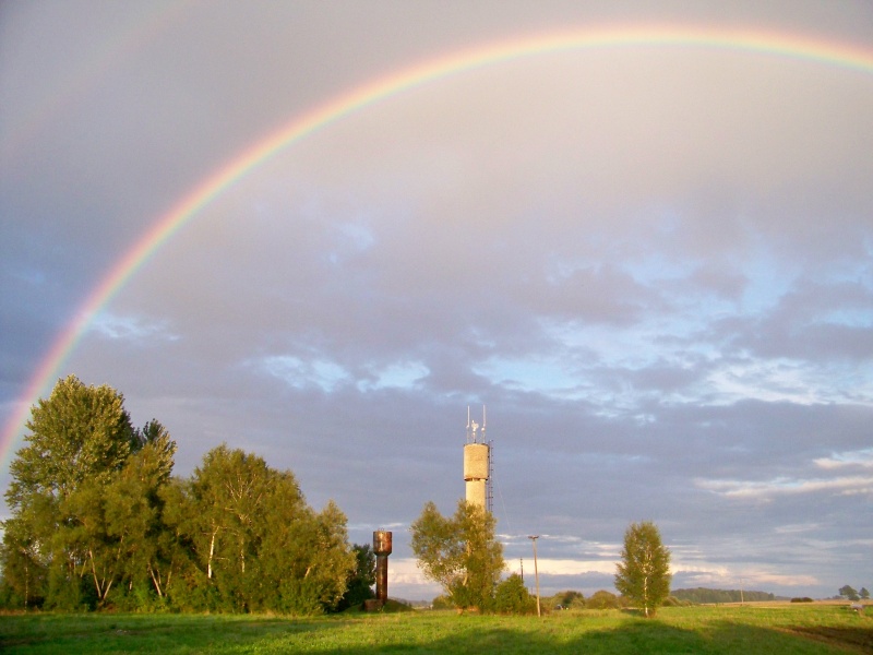 Vaizdas:Vaivorikštė 830.jpg