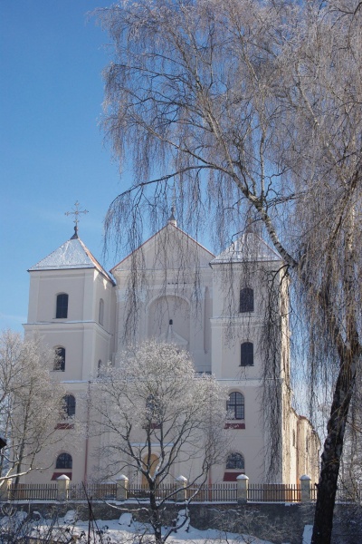 Vaizdas:Viduržiemio Šerkšnas 774.jpg