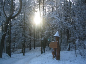 Sek nuorodą (Mergakalnis) - mūsų garsusis skardis.