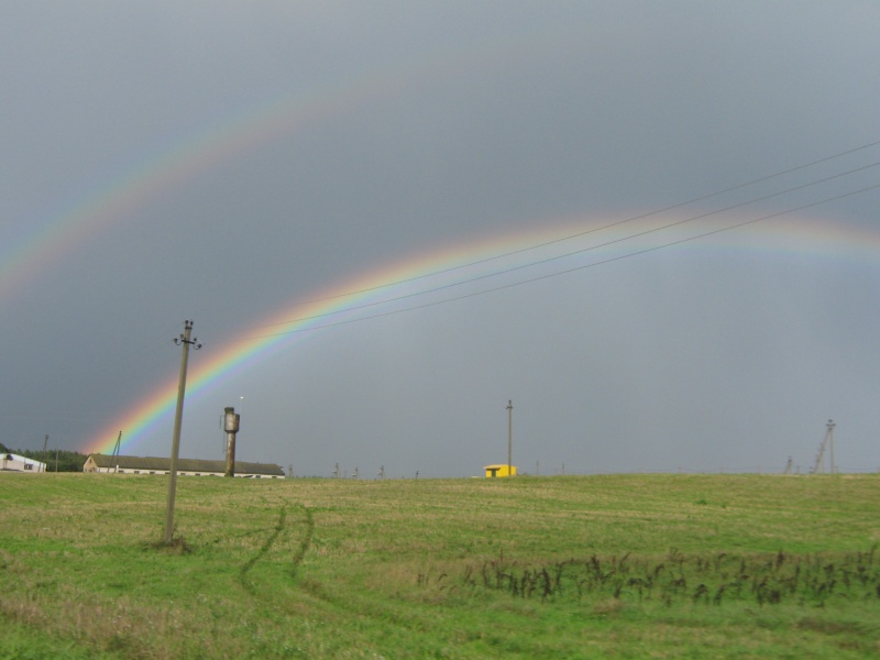 Vaizdas:Drignė 180.jpg