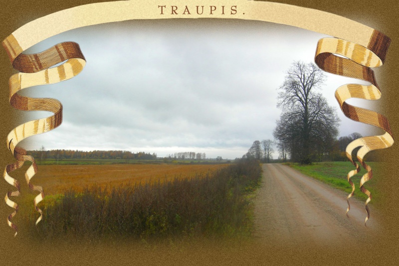 Vaizdas:Traupis 13 13.jpg