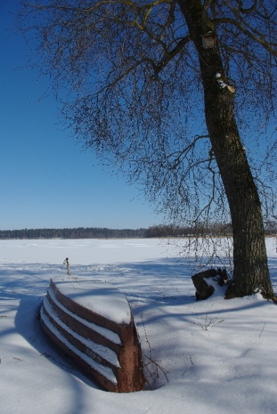 Vaizdas:Laukimas. Prie Alaušo. 638.jpg