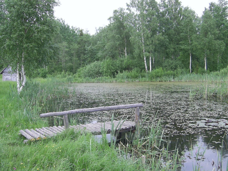 Vaizdas:Telsiai. Buities muziejus 998.jpg