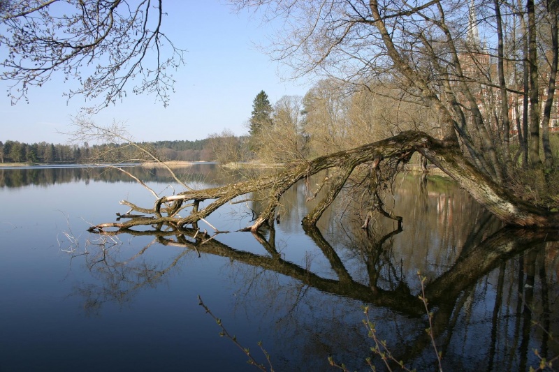 Vaizdas:Laukinė gamta ( Lentvaris ) 963.jpg