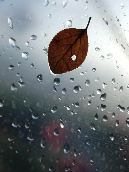 Vaizdas:Rudens vitrazas 755.jpg