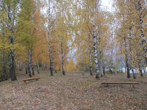 Ruduo Skaistgiryje